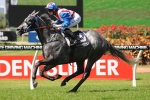 Zaratone chalks up his fourth win at Rosehill