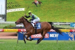 Manawanui Could Still Be A Spring Stayer