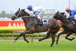 Dunn to ride own race on Said Com in Rosehill Guineas