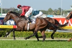 Listen To The Boss: Smart Missile Will Win Guineas