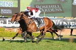 Epaulette takes out Golden Rose, now for Pierro
