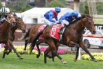 2022 Cox Plate Winner Anamoe Salutes for the Punters