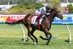 Mr Brightside Shines Again, Claims Sixth Group 1 in Futurity Stakes 2024