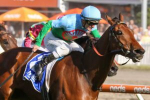 Tuvalu Tops 2023 Railway Stakes Field & Betting Markets in Perth
