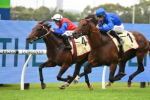 2022 Might And Power Stakes Field & Odds: Anamoe Clear Favourite