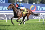 Circle of Fire Overcomes Challenges to Claim Emotional 2024 Sydney Cup Victory