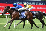 Cylinder Heads Golden Rose Stakes 2023 Field & Odds