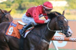 Extreme Warrior Heads 2022 The Goodwood Field & Betting