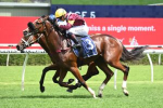 Huetor Seeks Third Straight Doomben Cup Springboard in A.D. Hollindale Stakes 2024 Field
