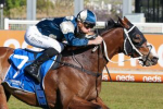 Turnbull Stakes 2023 Field & Odds Update: Romantic Warrior Favourite