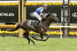 2023 Melbourne Cup Final Field, Barriers & Betting Update