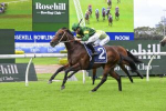 Nepotism Heads Champagne Stakes 2025 Field & Betting