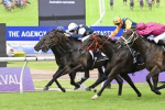 2025 George Ryder Stakes Winner Gringotts Narrowly Beats Fangirl