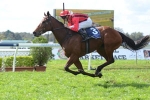 Munce’s Mares To Make Impact At Newcastle