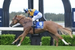 Karuta Queen Back At Best For San Domenico